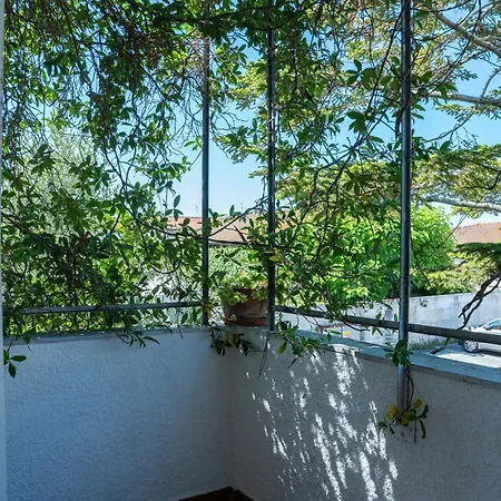 Kronos House Torre del Lago Puccini